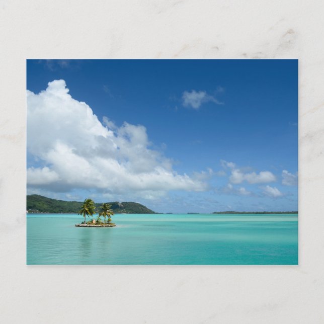 Palmenbaum in Bora Bora Postkarte (Vorderseite)