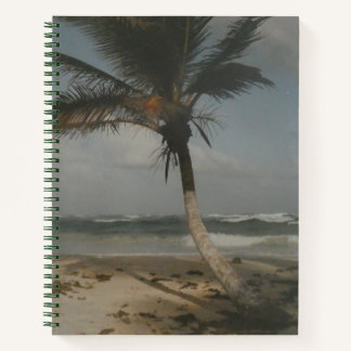 Palmenbaum, Mexiko Reiseziel TULUM Notizbuch