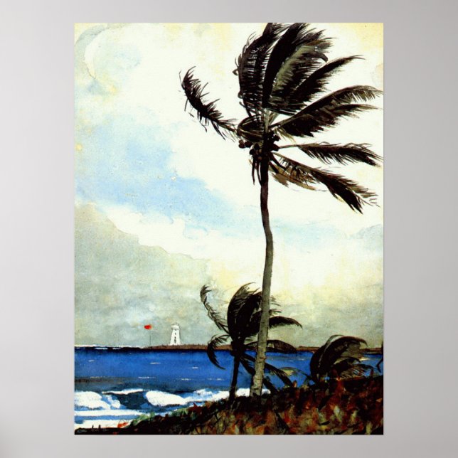 'Palmenbaum-Nassau' Poster (Vorne)