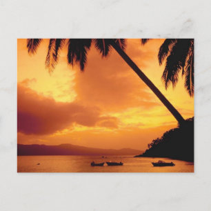 Palmenbaum über Wasser Postkarte