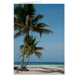Palmenbaum und weißer Sandstrand