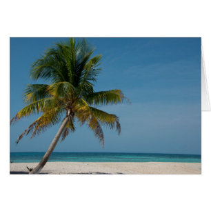 Palmenbaum und weißer Sandstrand 2