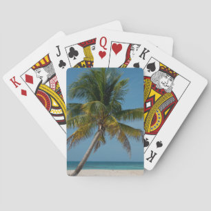 Palmenbaum und weißer Sandstrand 2 Spielkarten
