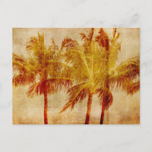 Palmenbaum Vintage Postkarte