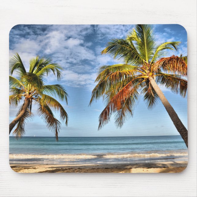 Palmenbäume Mousepad (Vorne)