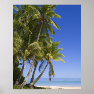 Palmenbestandene Strand Cook Islands 3 Poster