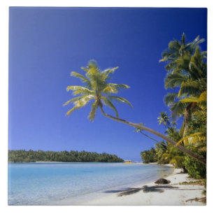 Palmenbestandene Strand Cookinseln Fliese