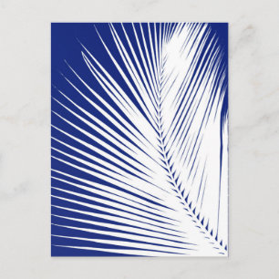 Palmenblatt - blau und weiß postkarte