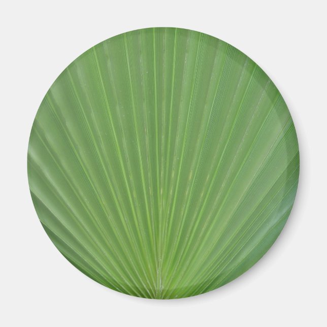 Palmenblatt Magnet (Vorne)