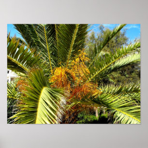 Palmenblätter und -blüten poster