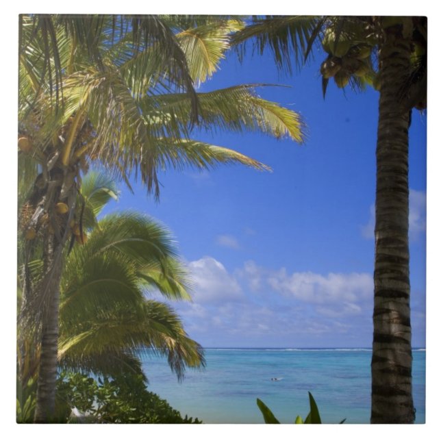 Palmengesäumter Strand Cook Inseln 2 Fliese (Vorderseite)