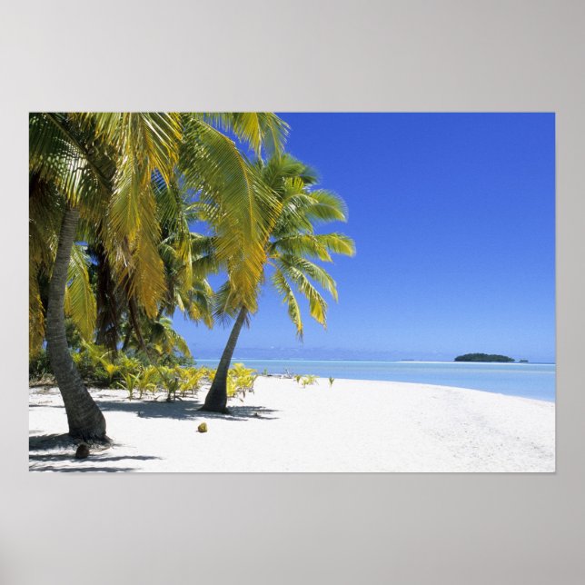 Palmengesäumter Strand Cook Inseln 2 Poster (Vorne)