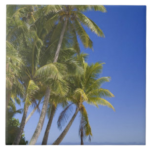 Palmengesäumter Strand Cook Inseln 3 Fliese