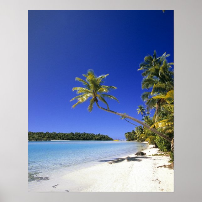Palmengesäumter Strand Cook Islands Poster (Vorne)