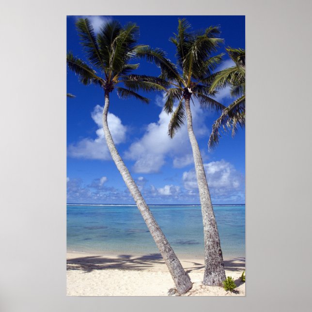 Palmengesäumter Strand Cook Islands Poster (Vorne)