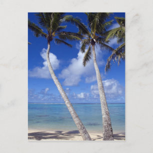 Palmengesäumter Strand Cook Islands Postkarte