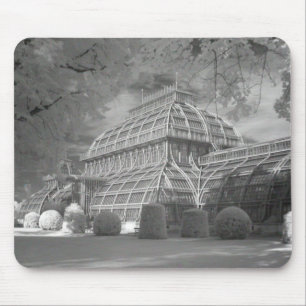 Palmenhaus Mousepad