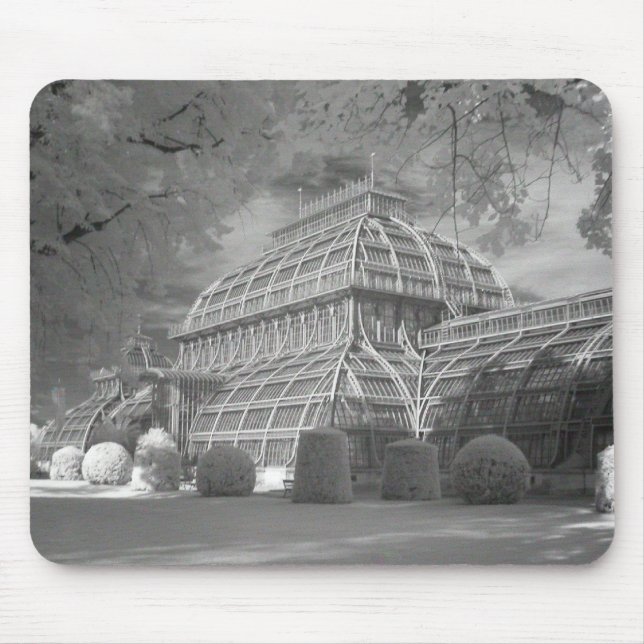 Palmenhaus Mousepad (Vorne)
