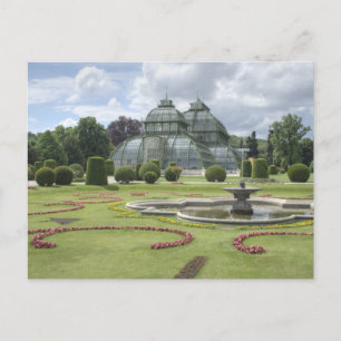 Palmenhaus Postkarte