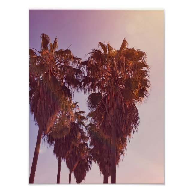 Palmenherz Foto (Vorne)