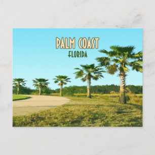 Palmenküste Florida Palmen Bäume Vintag Postkarte
