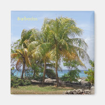 Palmenmagnet in Barbados