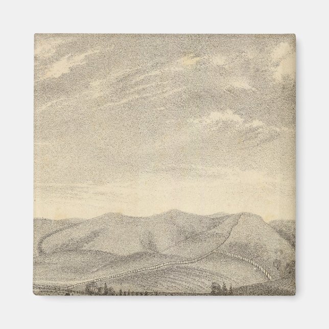 Palmer res, Weinberg Magnet (Vorne)