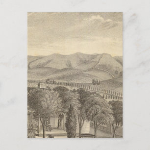 Palmer res, Weinberg Postkarte