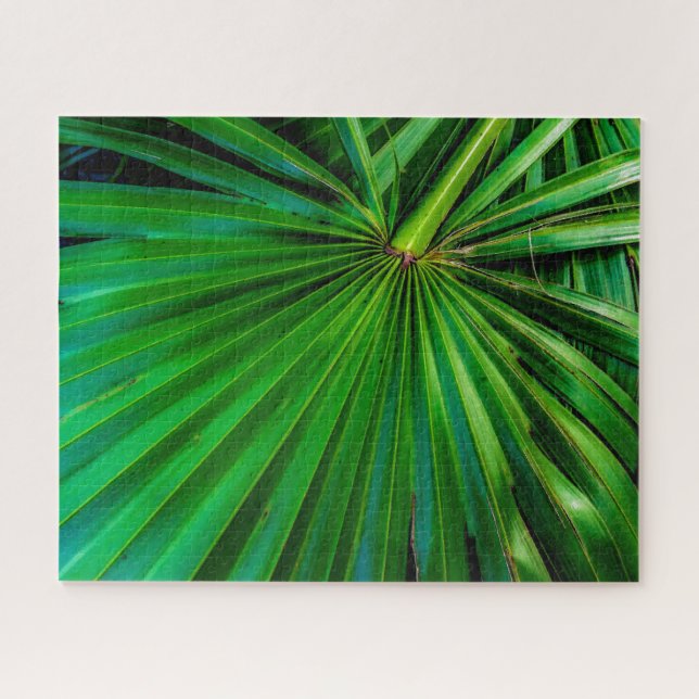 Palmetto Fan Puzzle sehen (Horizontal)