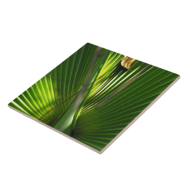Palmetto-Foto schließen Fliese (Seite)