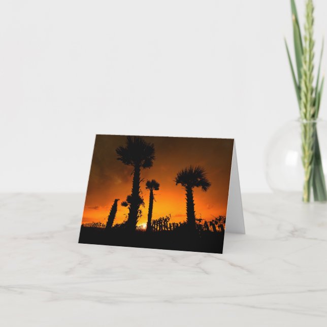 Palmettos nochmals besucht karte (Vorderseite)