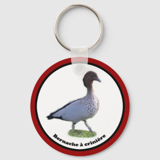 Palmipedes kolletor (Kammbarsche Schlüsselanhänger