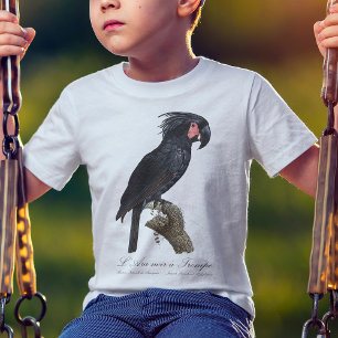 Palmkakadu, Probosciger aterrimus Papagei, retro T-Shirt