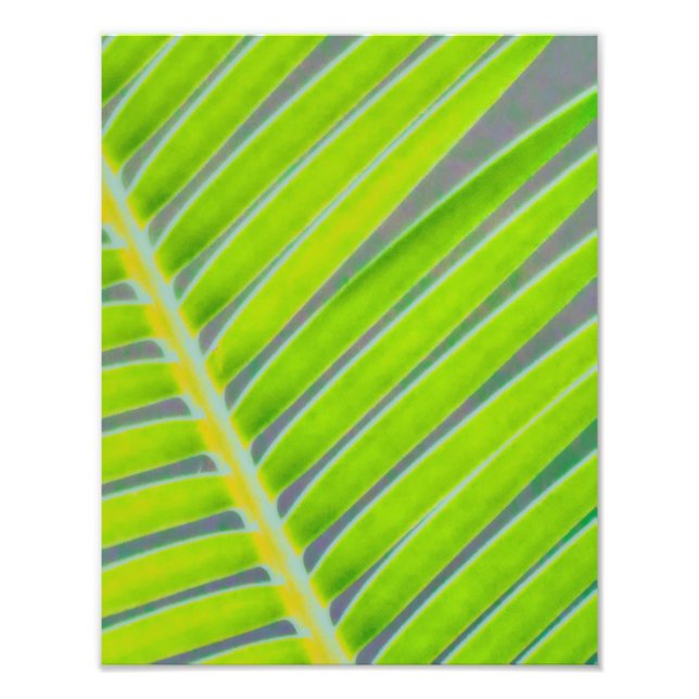 Palmmuster Fotodruck (Vorne)