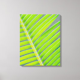 Palmmuster Leinwanddruck