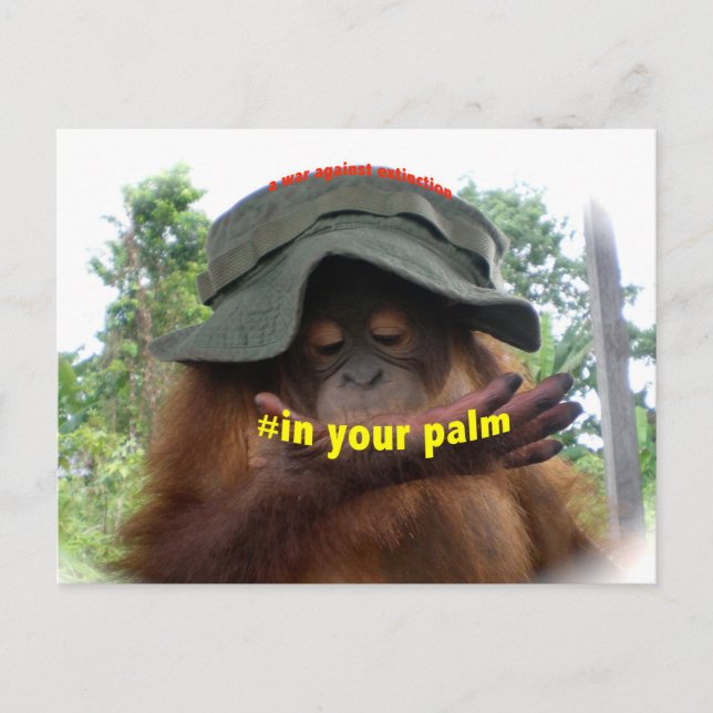 Palmöl Orangutan Conservation Postkarte (Vorderseite)