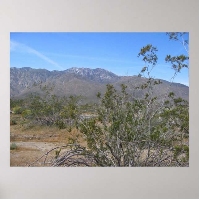 PalmSprings (26) Poster (Vorne)