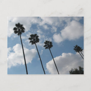 Palmsteine und Wolken Postkarte