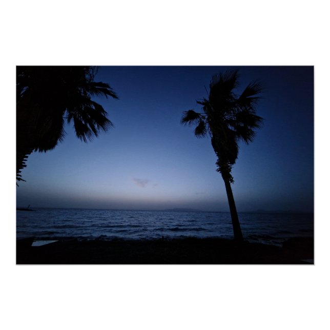 Palmtree night  poster (Vorderseite)