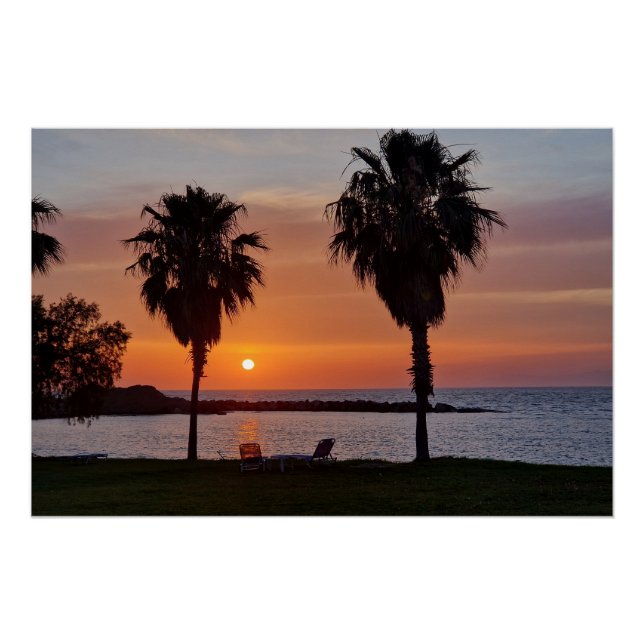 Palmtree sunset  poster (Vorderseite)