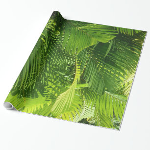 Palmwedel Geschenkpapier