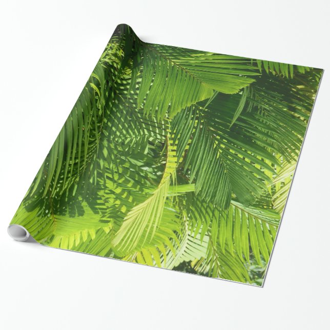 Palmwedel Geschenkpapier (Ungerollt)