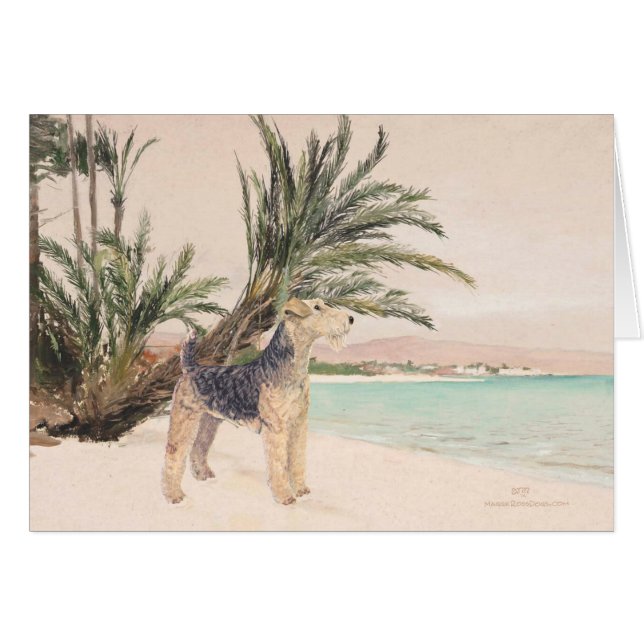 Palmy Beach (Vorderseite (Horizontal))