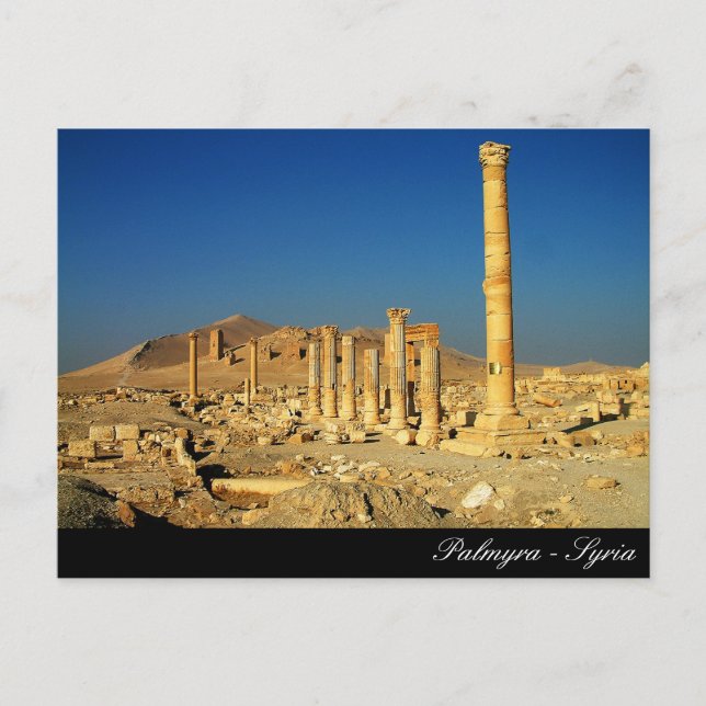 Palmyra, Bell Temple, römische Ruinen, Syrien Postkarte (Vorderseite)