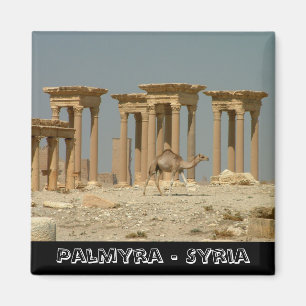Palmyra, Schätze Syriens Nr.3 (Kühlschrankmagnet) Magnet