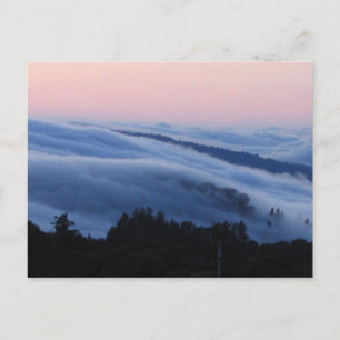Palo Alto Postkarte