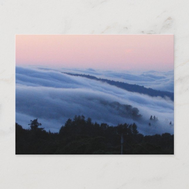 Palo Alto Postkarte (Vorderseite)