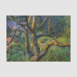 Palo Verde Baum Seidenpapier