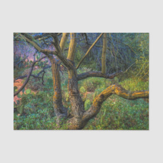 Palo Verde Baum Seidenpapier