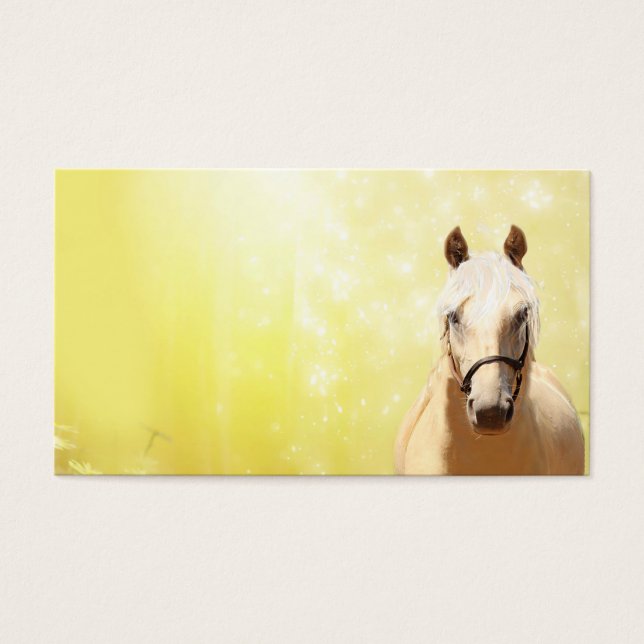Palomino (Vorderseite)